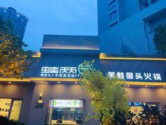 -蛙两只美蛙鱼头火锅(恒茂店)