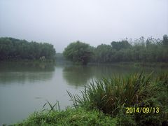 -昆山城市生态森林公园