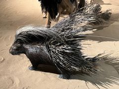 -陕西自然博物馆