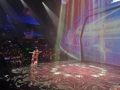 -重庆国际马戏城