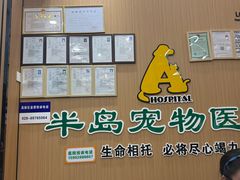 -半岛宠物医院24小时·内窥镜·牙科·碎石中心(府城大道店)