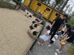 -前小桔亲子创意农场·草莓采摘·露营烧烤