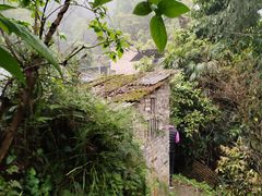 -南山植物园