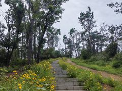 -青龙山国家森林公园