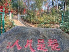 -灵岩山风景区