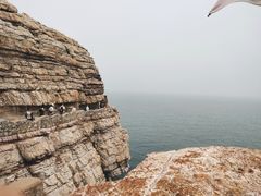 -长岛大黑山岛