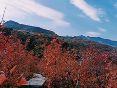 -周口店坡峰岭风景区