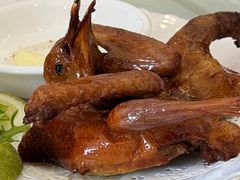 -郑猛记石岐鸽主题餐厅(长江店)