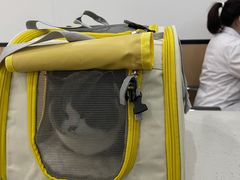 -贝利宠物医院·骨科·眼科·肿瘤转诊中心(南坪诊疗中心)