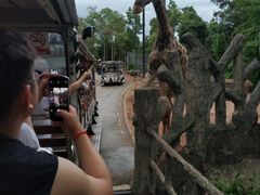 -清迈夜间动物园