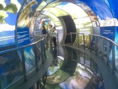 -房山世界地质公园博物馆