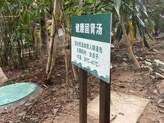 -龙达温泉生态城