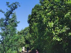 -金堂县云顶石城风景区