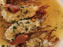 活鲜小青龙-骏莱海鲜鱼港(五角场店)