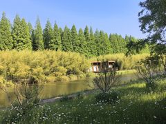-黄海国家森林公园
