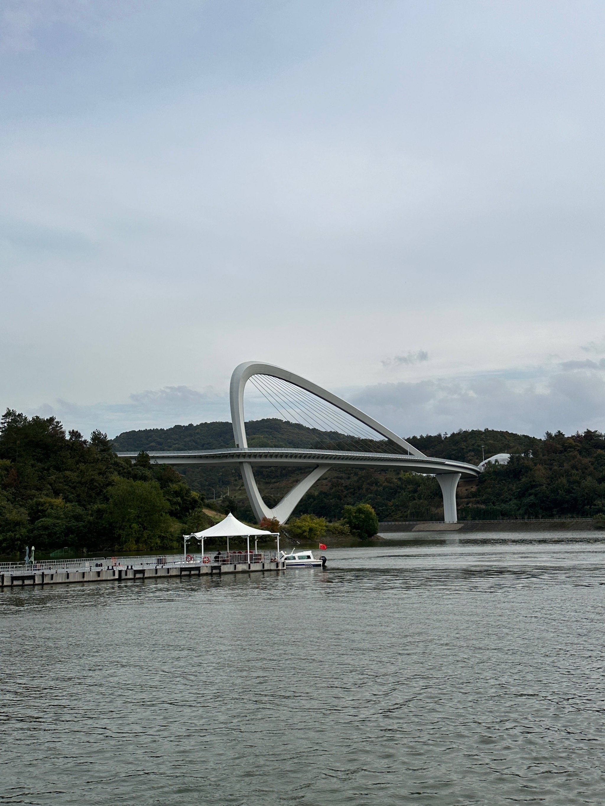 天目湖鸟岛图片