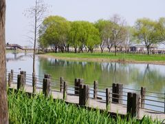 -苏州太湖湖滨国家湿地公园