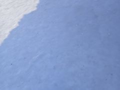 -山妹子铁锅炖