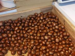 -阿男野栗王(金门路店)