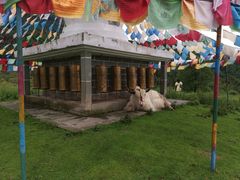 -硗碛藏寨·神木垒景区