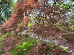 -浙江西子宾馆·瑶园咖啡厅