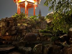 -顺峰山公园
