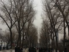 -人民防洪胜利纪念塔