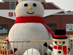 -蓟洲国际滑雪场