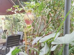 -品德宏·孔雀宴的发源地(金塔园店)