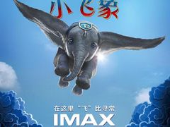 -AMG海上明珠影城(上海环球港RealDCinema店)