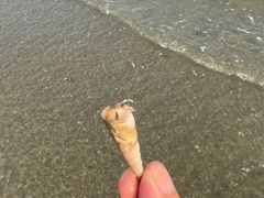 -万尾金滩