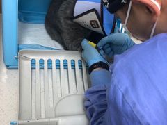-联合动物医院(光谷诊疗中心)