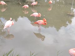 -上方山森林动物世界
