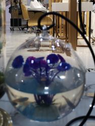 点击看大图 -尚·丹尼Hair