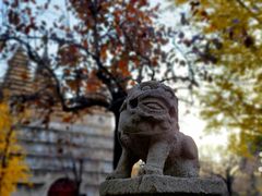 -北京石刻艺术博物馆(五塔寺)