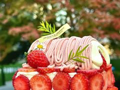 -卷心卷意·轻甜蛋糕(新光天地店)