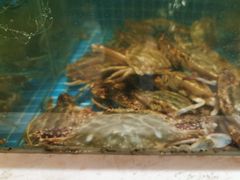 -妈妈菜舟山海鲜(定海古城店)