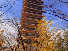 -牛首山文化旅游区