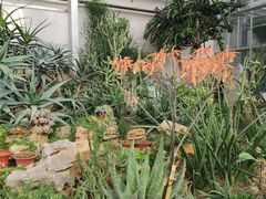 -国家植物园南园