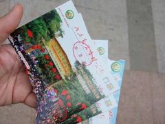 -广东茂名森林公园