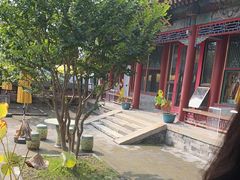 -宫事颐庭·老佛爷贵寿下午茶(颐和园店)