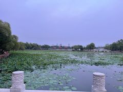 -长春市南湖公园