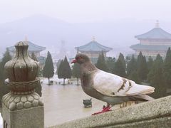 -龙口南山旅游景区