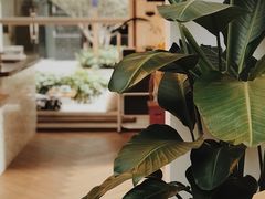 -Line 咖啡(石厦花园店)