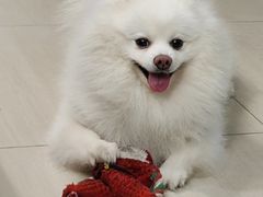 -净行天厨(莲塘总店)