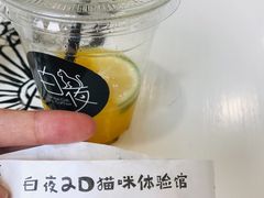 -白夜2D咖啡馆