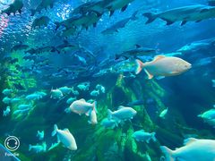 -波塞冬旅游度假区