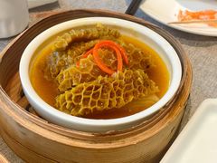 藤椒酱蒸金钱肚-凯逸轩·匠心粤菜(中城名仕汇店)