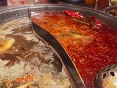 -朱光玉火锅馆(正弘城店)