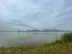 -九龙湖公园